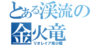 とある渓流の金火竜（リオレイア希少種）