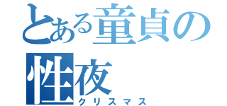 とある童貞の性夜（クリスマス）