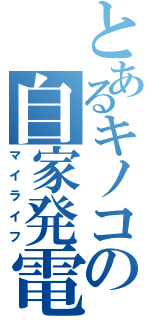 とあるキノコの自家発電（マイライフ）