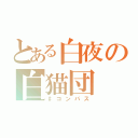 とある白夜の白猫団（♯コンパス）