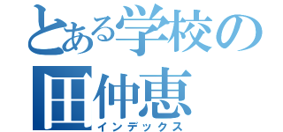 とある学校の田仲恵（インデックス）