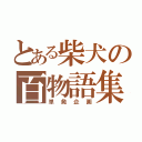 とある柴犬の百物語集（単発企画）