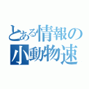 とある情報の小動物速（）