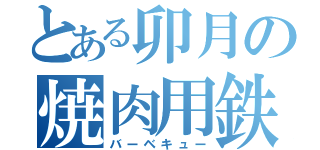 とある卯月の焼肉用鉄格子（バーベキュー）