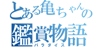 とある亀ちゃん の鑑賞物語（パラダイス）