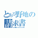 とある野地の請求書（との戦い６５０００円）