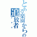 とある楽園からの追放者（アダム）