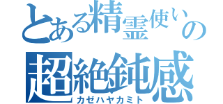 とある精霊使いの超絶鈍感（カゼハヤカミト）