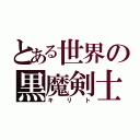 とある世界の黒魔剣士（キリト）