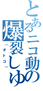 とあるニコ動の爆裂しゅ（（オトコ））