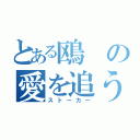 とある鴎の愛を追うもの（ストーカー）