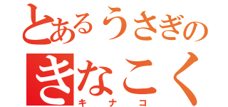 とあるうさぎのきなこくん（キナコ）