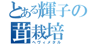 とある輝子の茸栽培（ヘヴィメタル）