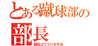 とある蹴球部の部長（筋肉ゴリゴリかすみ）