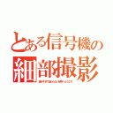 とある信号機の細部撮影（細かすぎて伝わらない世界へようこそ）