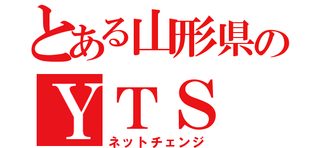 とある山形県のＹＴＳ（ネットチェンジ）