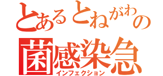 とあるとねがわの菌感染急増（インフェクション）