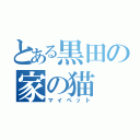 とある黒田の家の猫（マイペット）