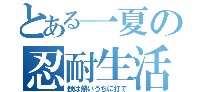 とある一夏の忍耐生活（鉄は熱いうちに打て）