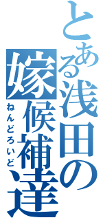 とある浅田の嫁候補達（ねんどろいど）