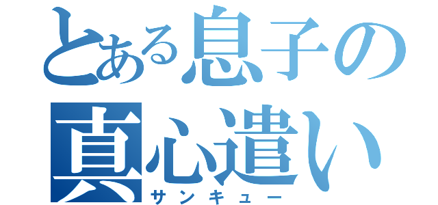 とある息子の真心遣い（サンキュー）