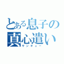 とある息子の真心遣い（サンキュー）