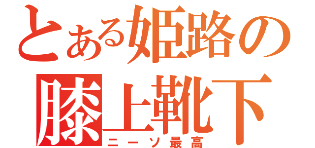 とある姫路の膝上靴下愛（ニーソ最高）