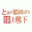 とある姫路の膝上靴下愛（ニーソ最高）