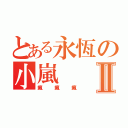 とある永恆の小嵐Ⅱ（瘋瘋瘋）