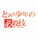 とある少年の必殺技（スペースペンギン）