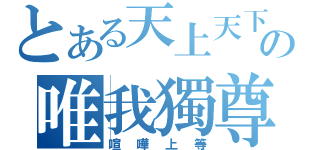 とある天上天下の唯我獨尊（喧嘩上等）