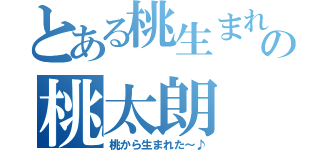 とある桃生まれの桃太朗（桃から生まれた～♪）