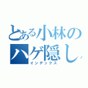 とある小林のハゲ隠し（インデックス）