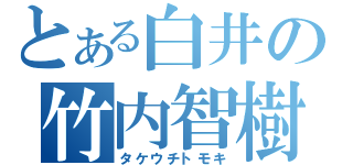 とある白井の竹内智樹（タケウチトモキ）