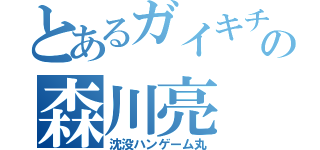 とあるガイキチの森川亮（沈没ハンゲーム丸）