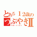 とある１２歳のつぶやきⅡ（Ｔｗｉｔｔｅｒ）