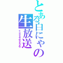 とある白にゃの生放送（ｃｏ２４６２３６）