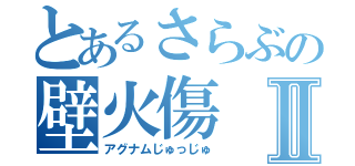 とあるさらぶの壁火傷Ⅱ（アグナムじゅっじゅ）