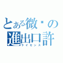 とある微软の進出口許可證（ライセンス）