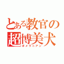 とある教官の超博美犬（ポメラニアン）