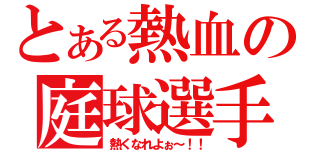 とある熱血の庭球選手（熱くなれよぉ～！！）