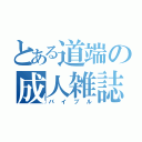 とある道端の成人雑誌（バイブル）