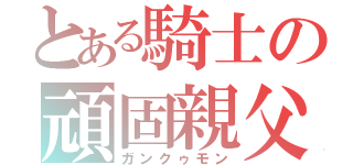 とある騎士の頑固親父（ガンクゥモン）