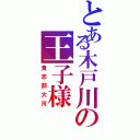 とある木戸川の王子様（貴志部大河）