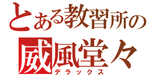 とある教習所の威風堂々（デラックス）