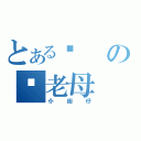 とある屌の你老母（仆街仔）