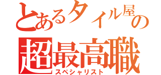 とあるタイル屋の超最高職人（スペシャリスト）