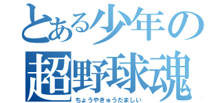 とある少年の超野球魂（ちょうやきゅうだましい）