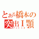 とある橋本の突出Ⅰ顎人（アントニオ）