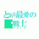 とある最愛の貓戰士（ＣＡＴＳ）